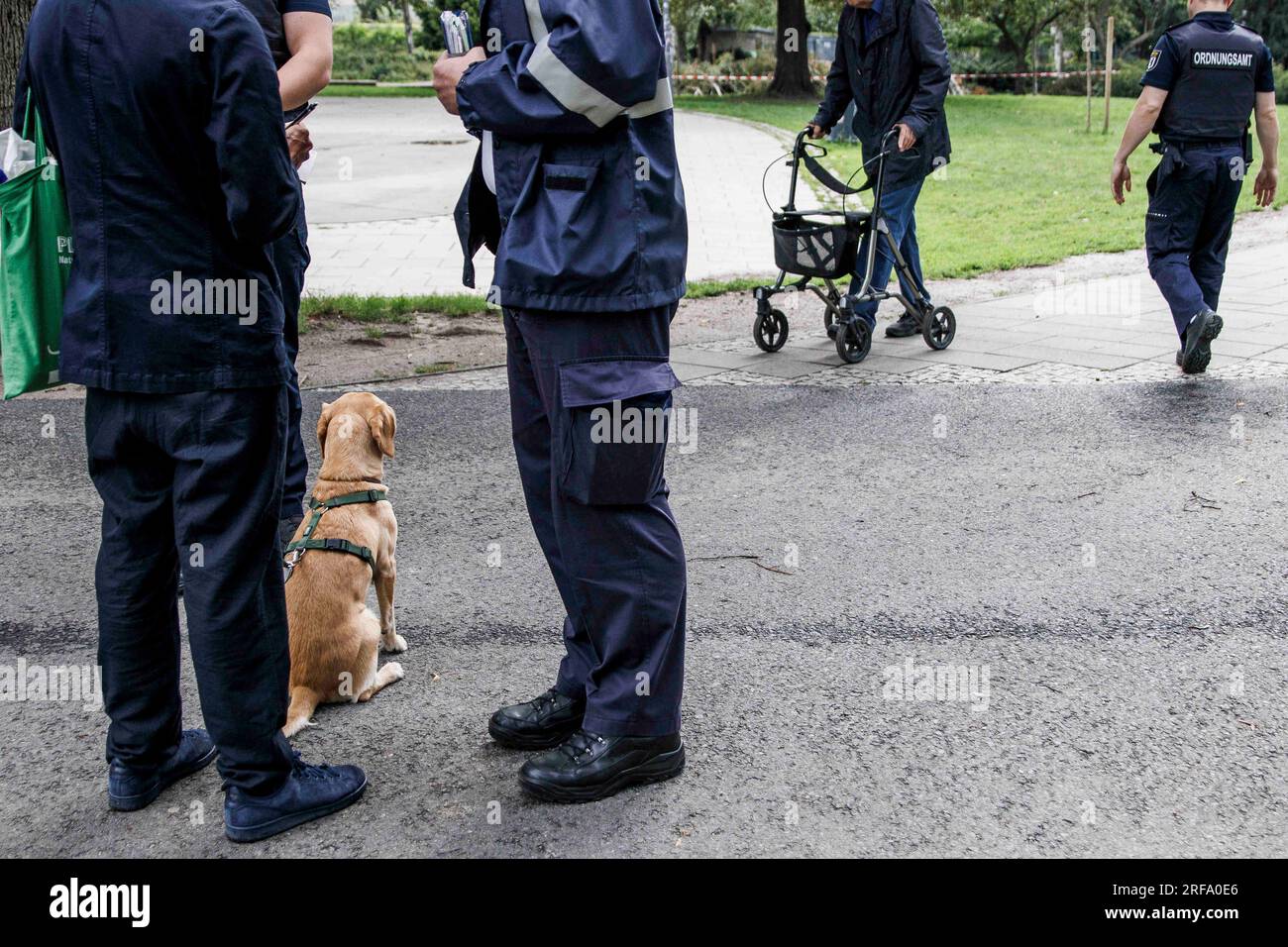 Berlin, Germany. 01st Aug, 2023. Employees of the public order office check the papers of a dog handler in Weinbergspark. The controls of the public order office are about violations of the law on green spaces and violations of the leash requirement for dogs. Credit: Carsten Koall/dpa/Alamy Live News Stock Photo