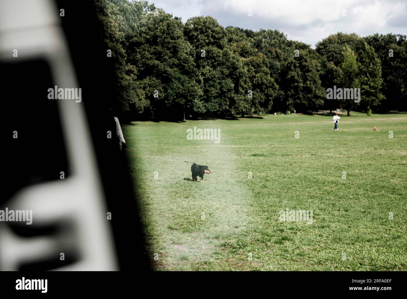 Berlin, Germany. 01st Aug, 2023. Dog owners walk their dogs in Schillerpark. The inspections by the public order offices are concerned with violations of the Green Spaces Act and violations of the leash requirement for dogs. Credit: Carsten Koall/dpa/Alamy Live News Stock Photo