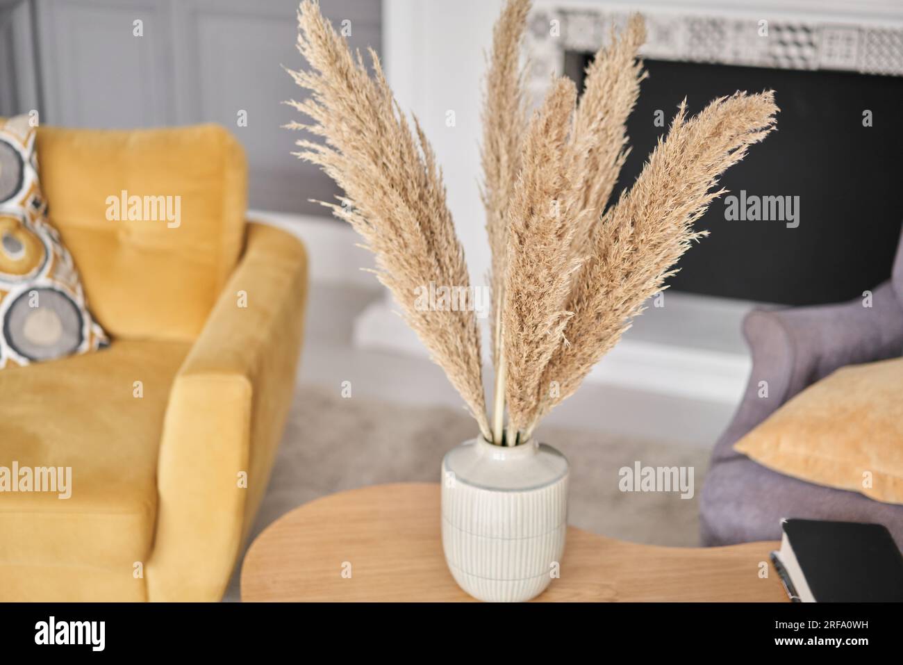 Pampas grass in vase. Stylish Scandinavian modern lighter cozy eco