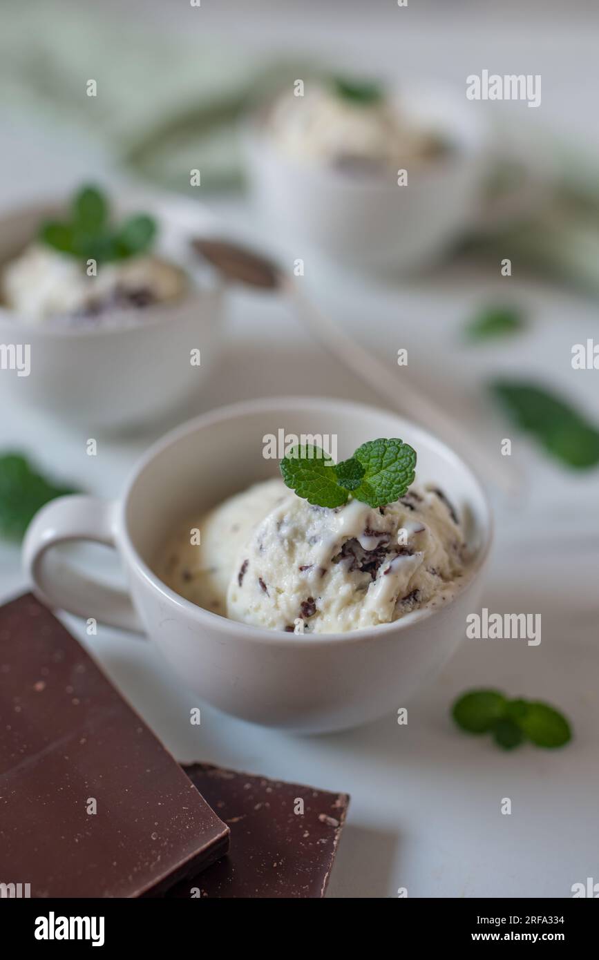 sweet home made straciatella mint ice cream Stock Photo