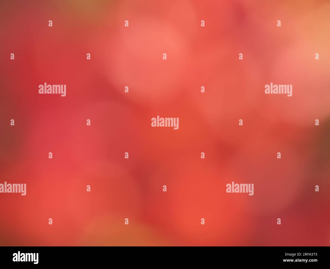 Plum coloured background or overlay for graphic design. Stock Photo
