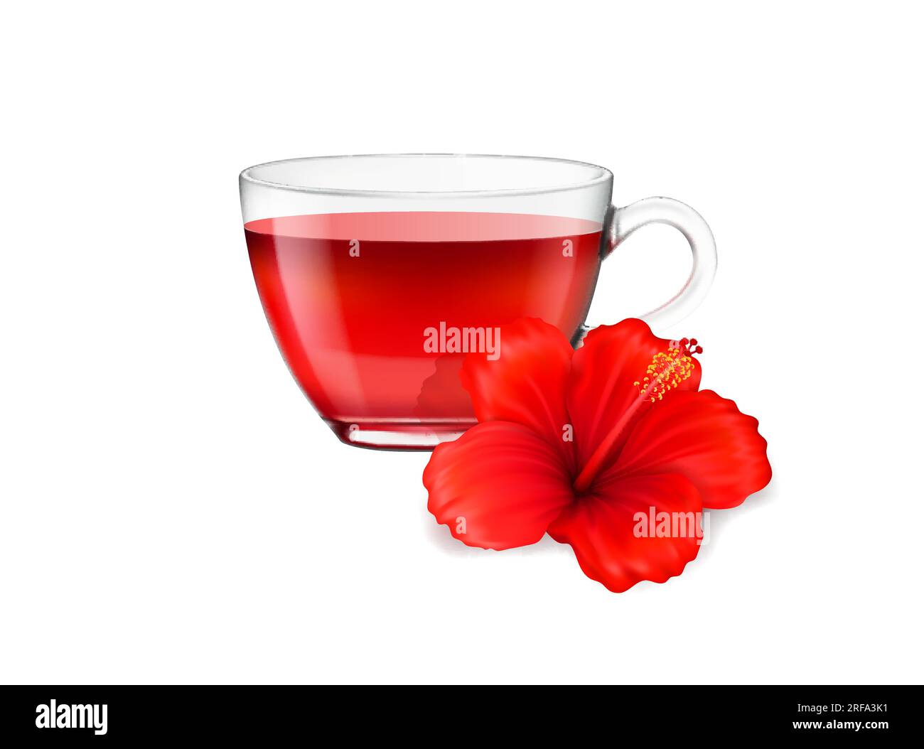 Realistic hibiscus tea cup and flower, herbal drink and organic beverage vector background. Hibiscus tea or red floral tea in glass mug, isolated realistic 3D flower of hibiscus for exotic carcade tea Stock Vector