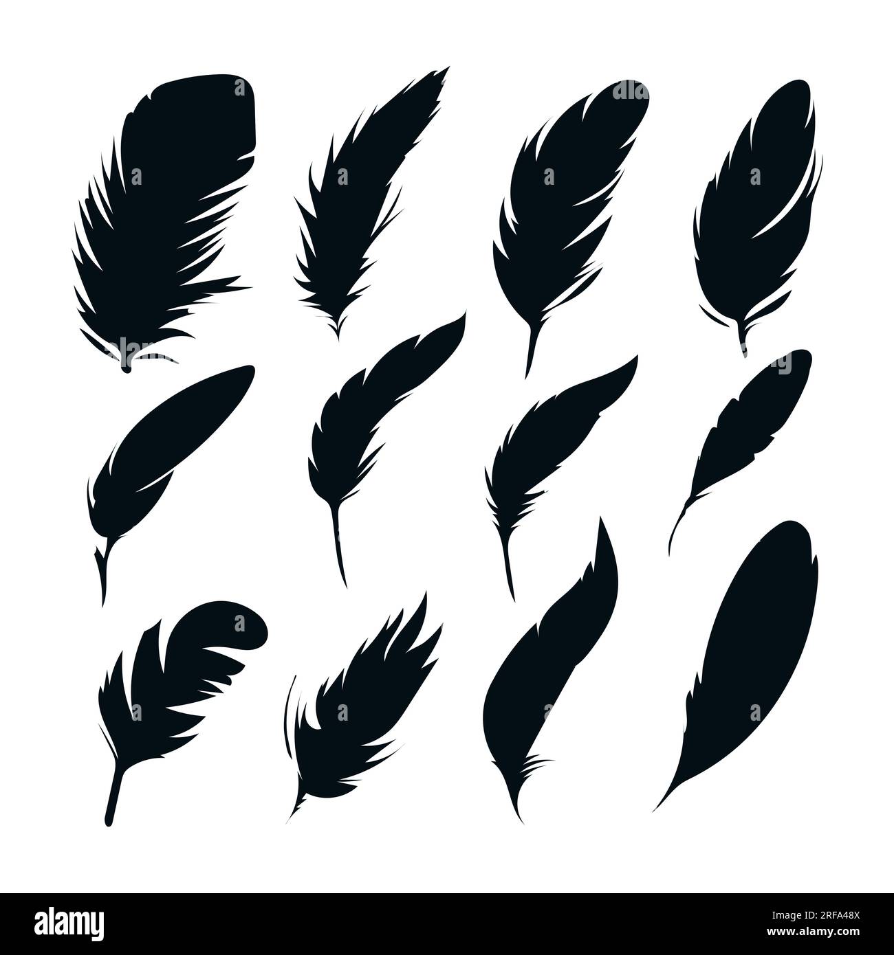 Black silhouettes of a bird feather. Feather collection. Vector ...