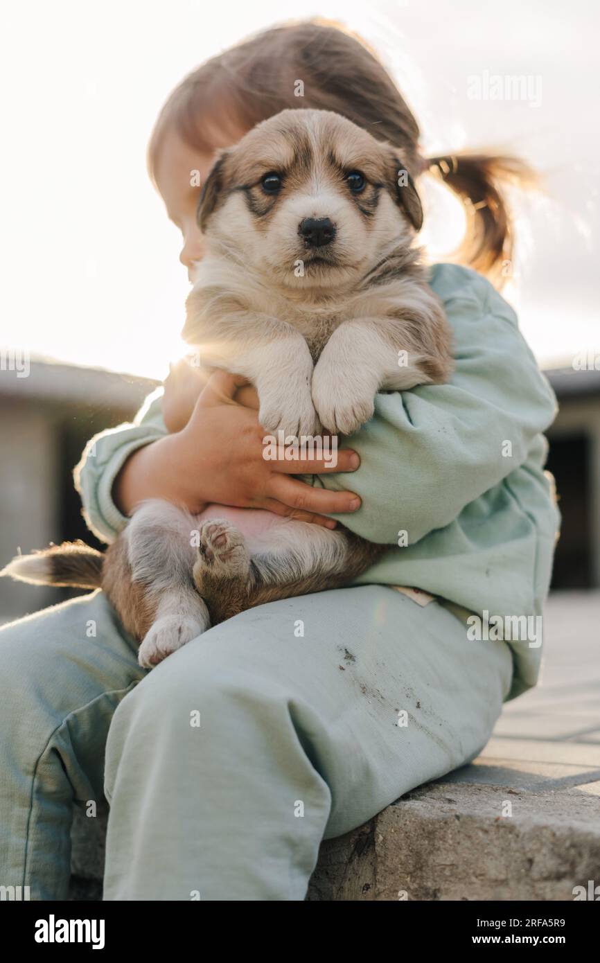 Funny dog cheap girl