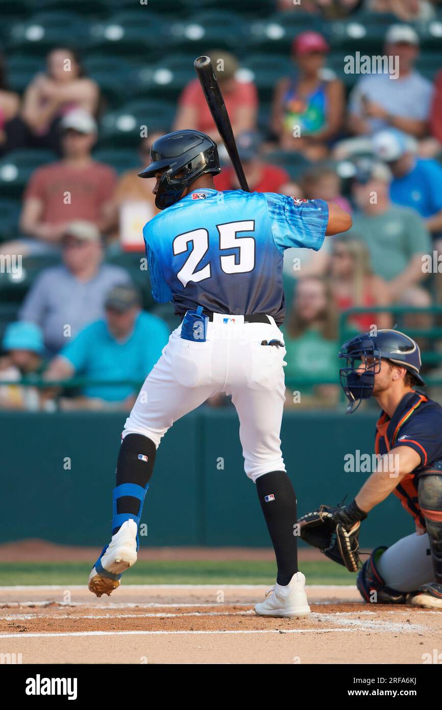 Geisel Cepeda (25) of the Hickory Crawdads at bat during a South ...