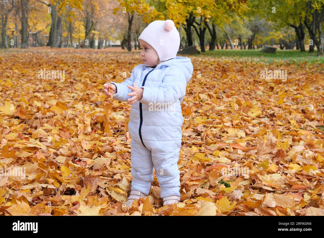 Beautiful little girl in blue overalls in autumn park. Horizontal photo Stock Photo