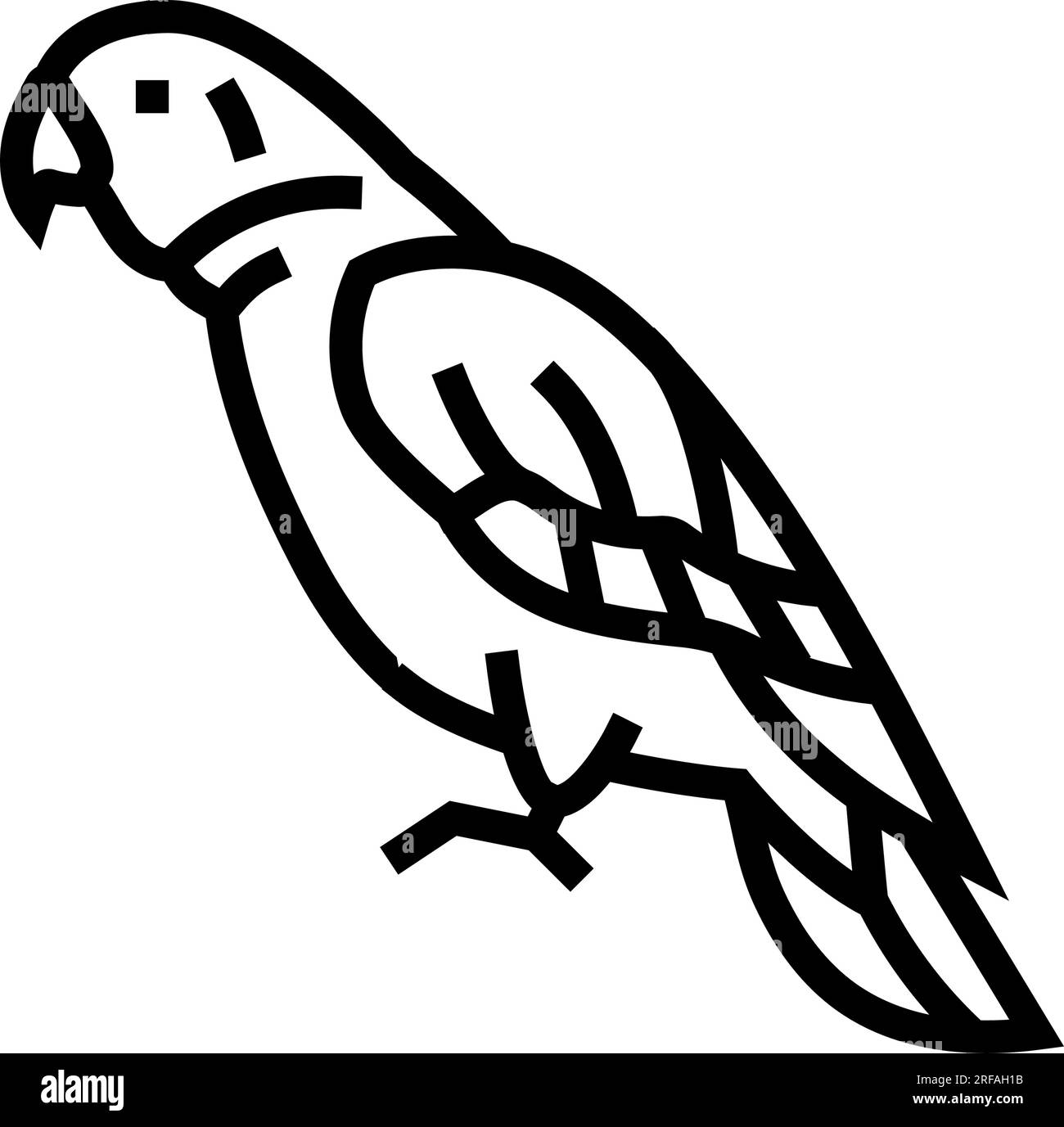 amazon parrot bird line icon vector illustration Stock Vector Image