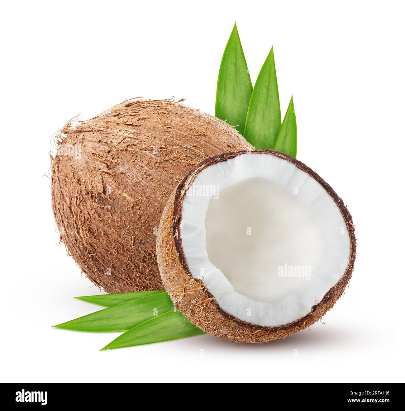 Coconut with leaves isolated on white background, Tropical Fruit. 