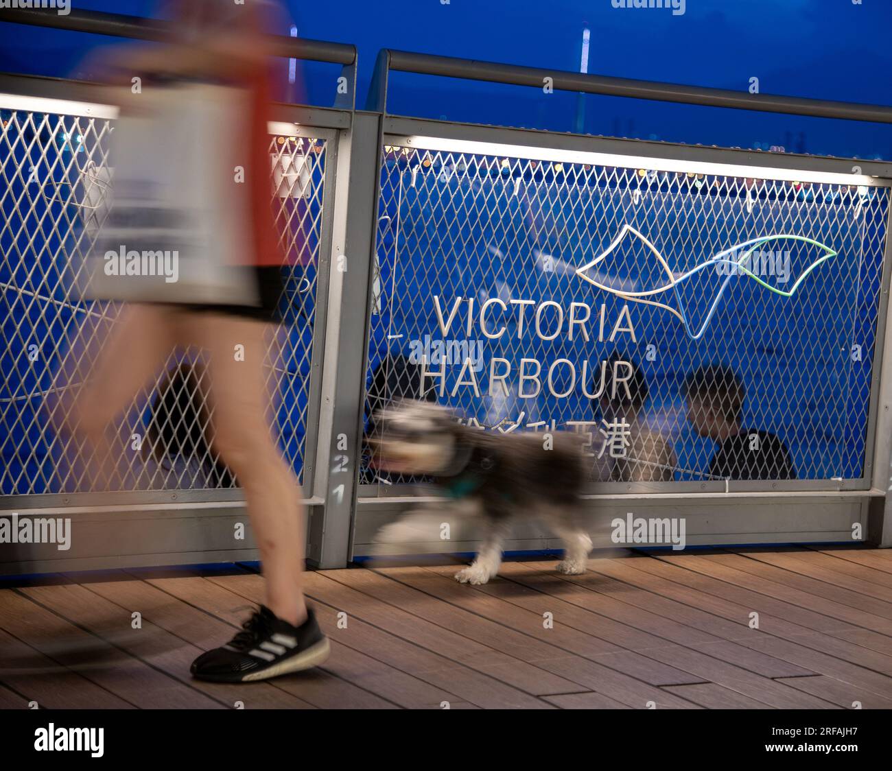People walking their dogs along victoria Harbour, Hong Kong, China. Stock Photo