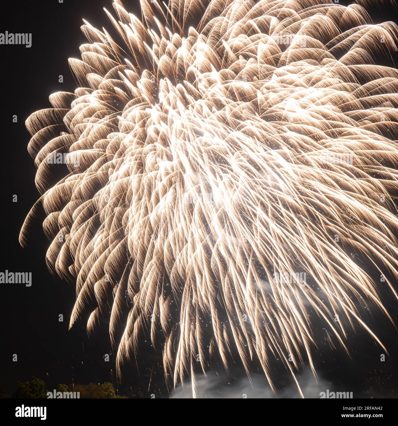 A firework display against a dark night sky Stock Photo