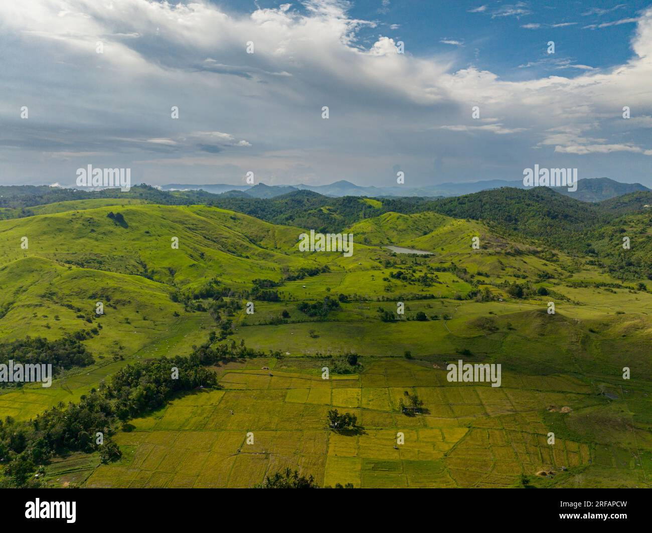 Aerial view scenic of farm and agricultural land with crops in the