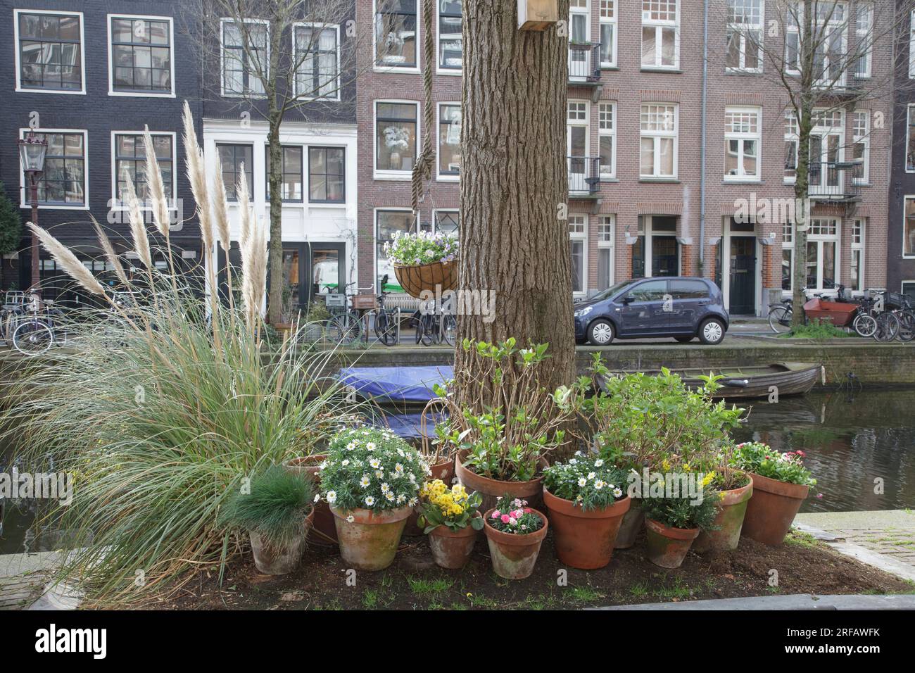 A collection of planted pots by a canal in Amsterdam to help pollinating insects survive Stock Photo