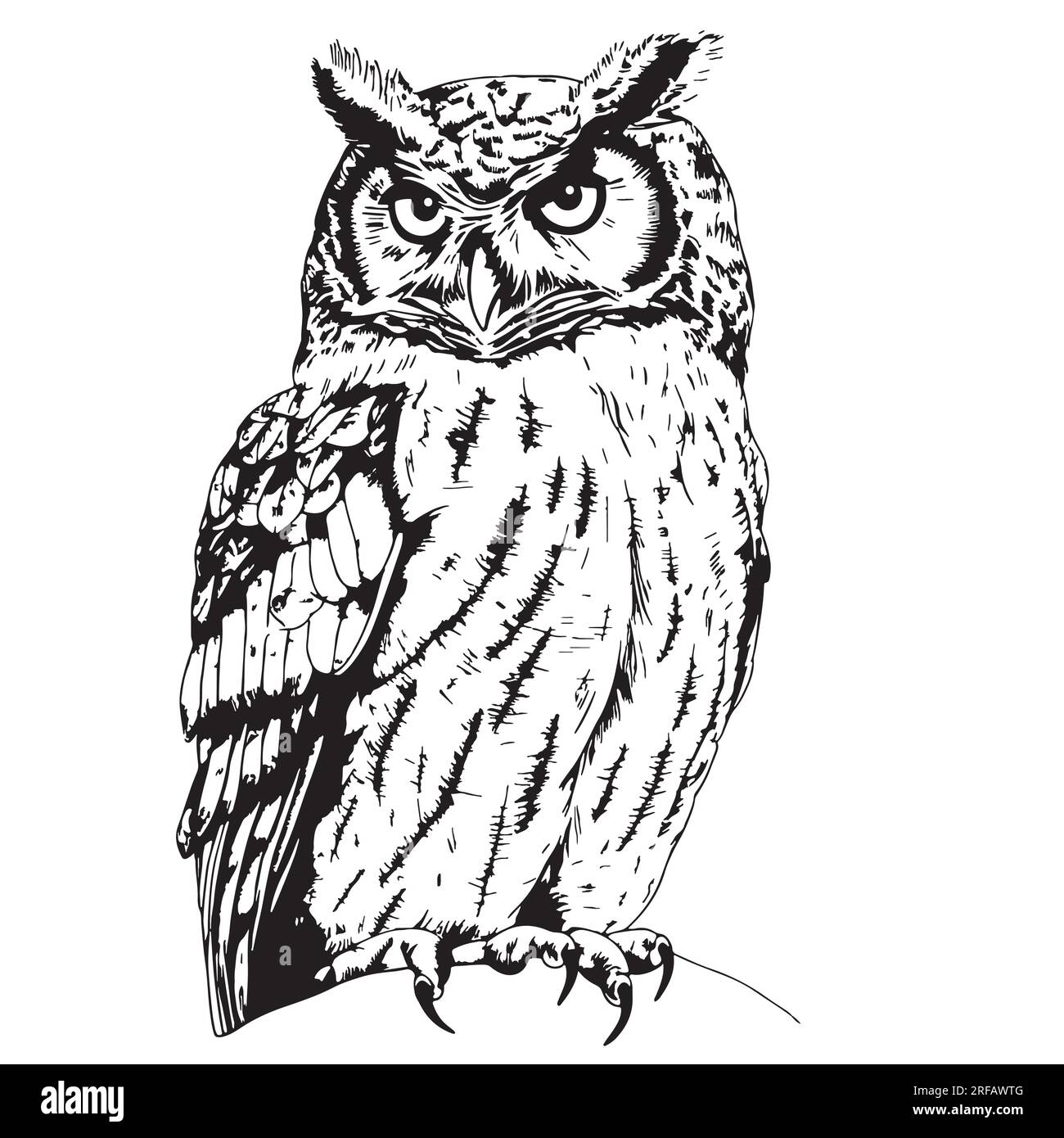 Owl wild bird sitting sketch hand drawn in doodle style Vector Stock