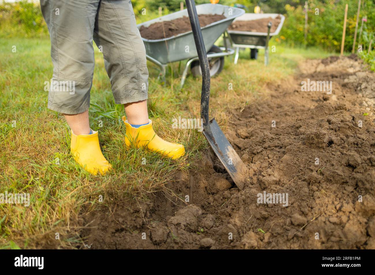 Worker digs the black soil with shovel in the vegetable garden, woman farmer loosens dirt in the farmland, agriculture and tough work concept Stock Photo