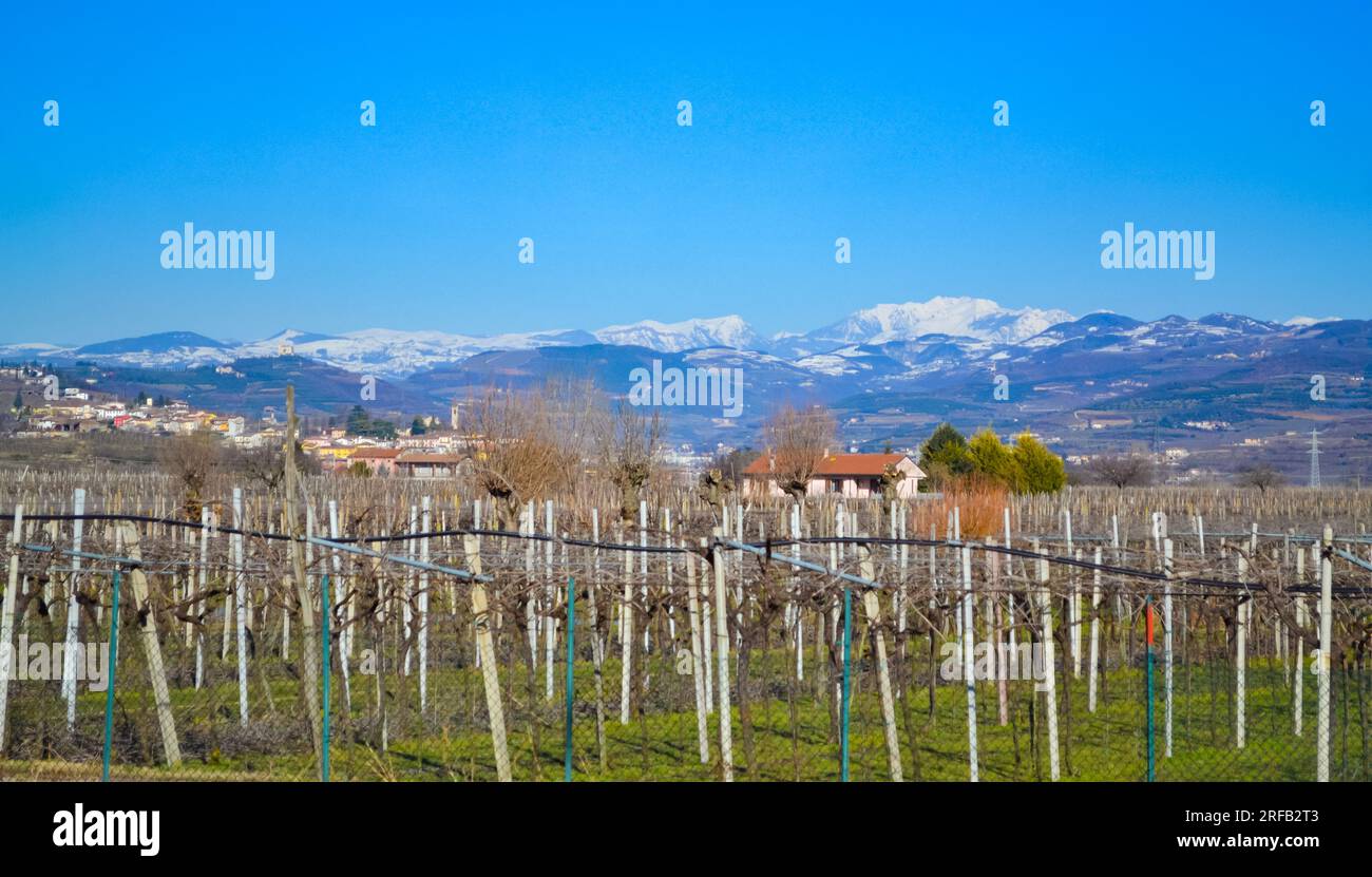 Scenic view of Province of Verona with Vineyards of Soave -a small comune of the Veneto region northern Italy,popular for its white wines and Castello Stock Photo
