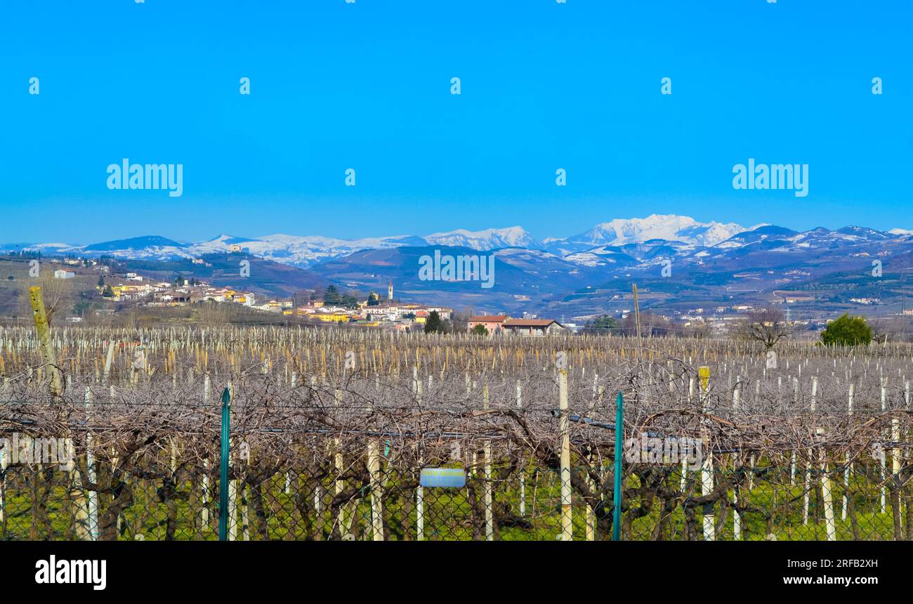 Scenic view of Province of Verona with Vineyards of Soave -a small comune of the Veneto region northern Italy,popular for its white wines and Castello Stock Photo