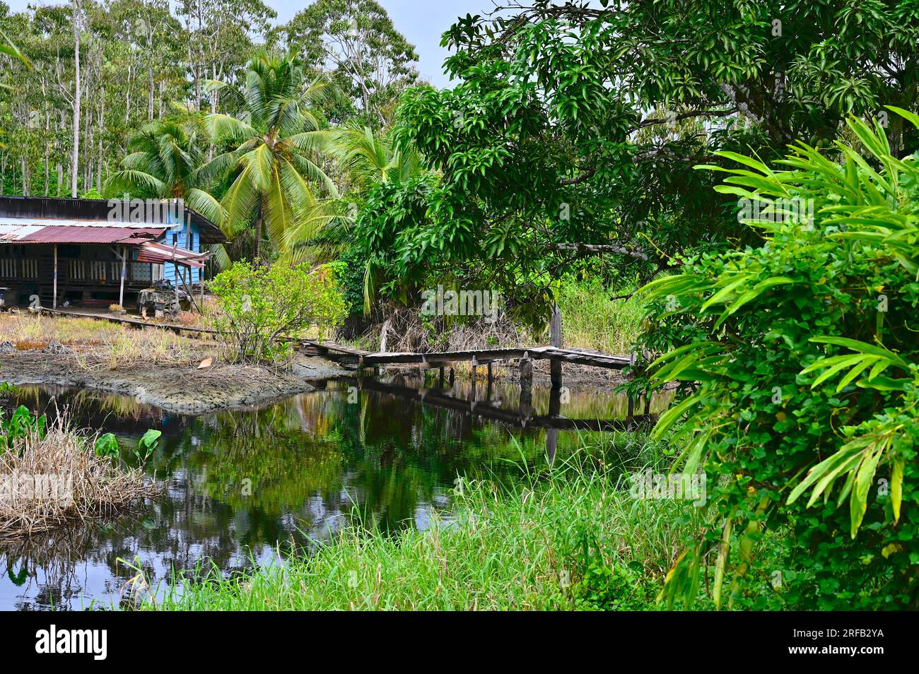 House in Bakkie (former plantation Reynsdorp) can be reached by a somewhat shaky looking wooden bridge., Commewijne, Suriname Stock Photo