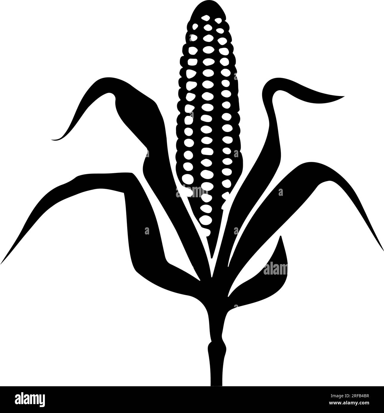 Cob Black and White Stock Photos & Images Alamy