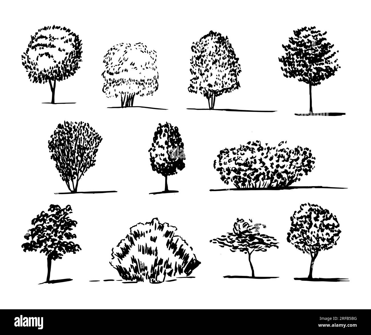 Different kinds of tree vector sketch set Stock Vector Image & Art - Alamy
