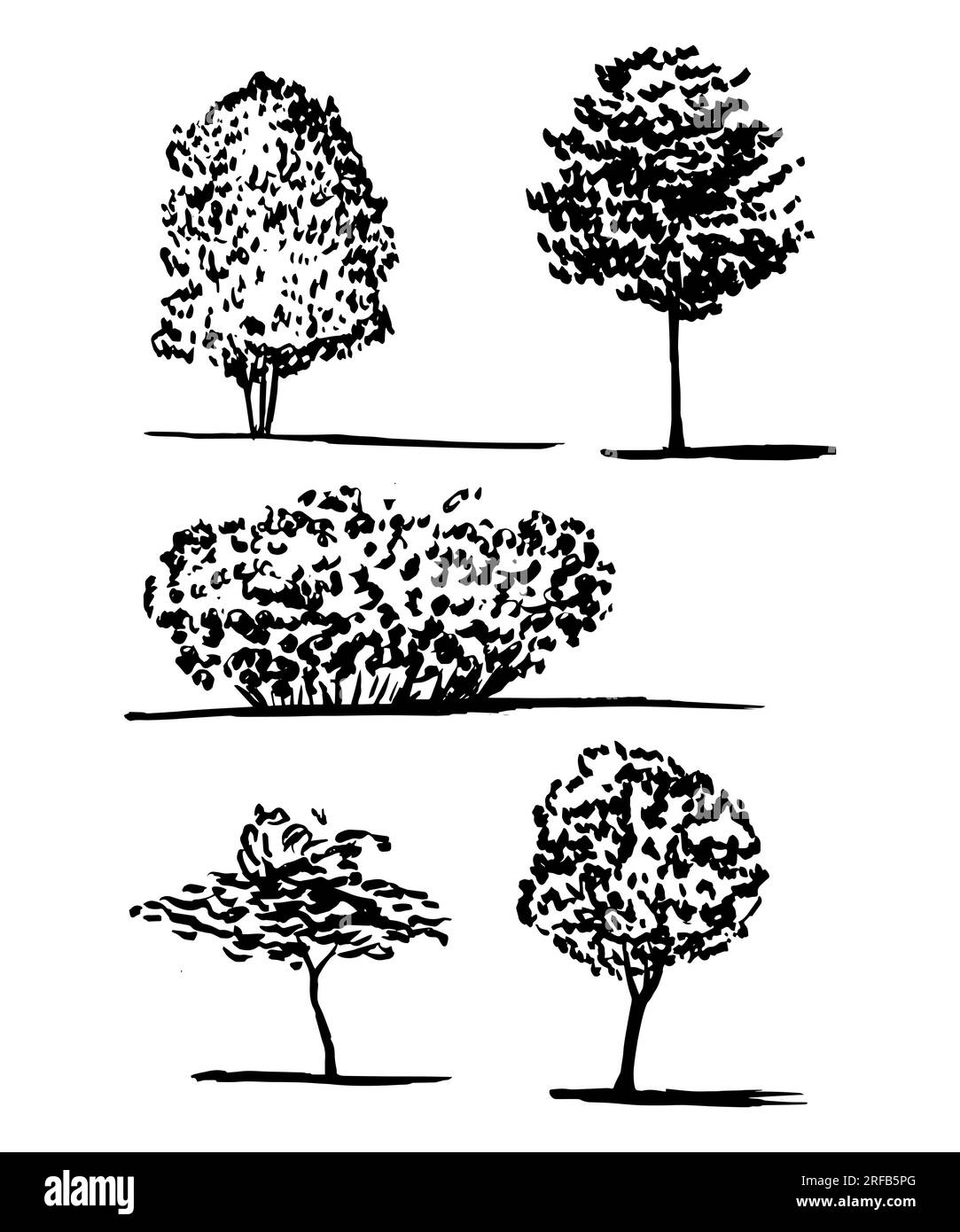 Different kinds of trees and bush set Stock Vector