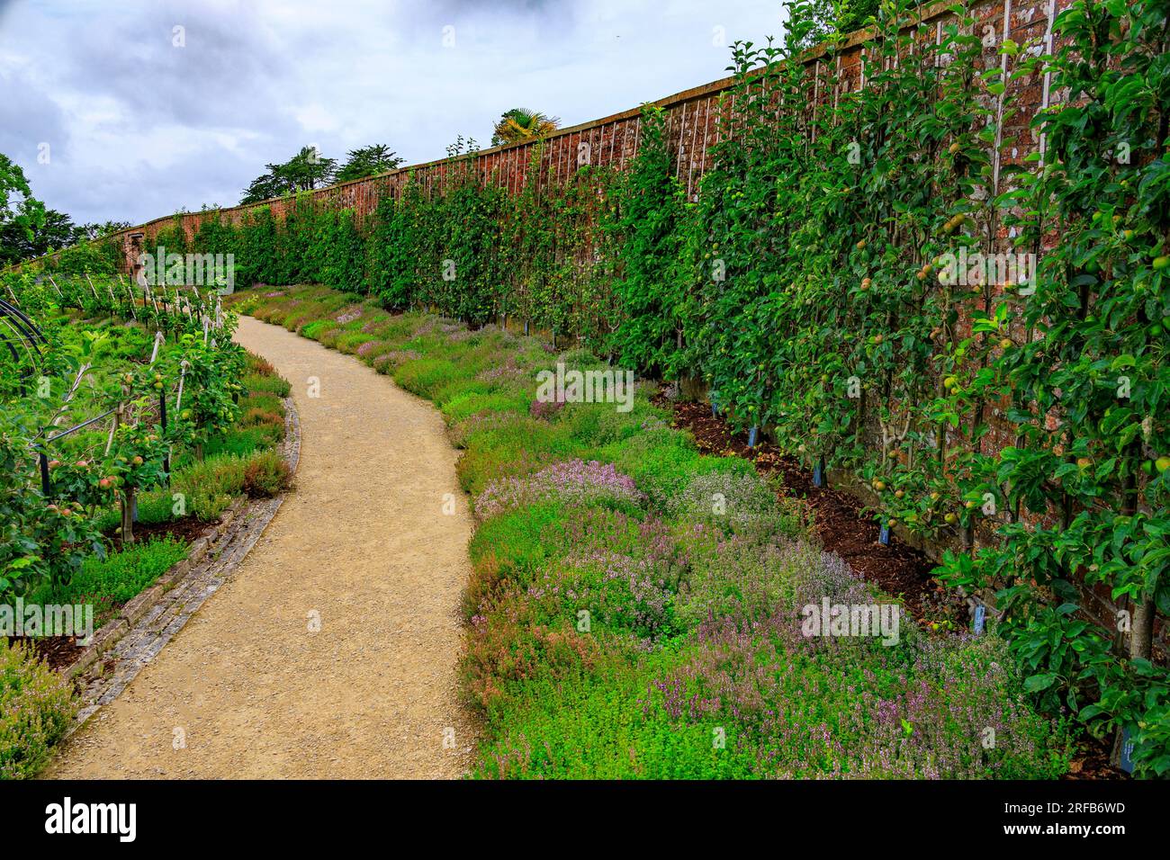 Some of the many different varieties of English apple trees growing in the Parabola walled garden at 'The Newt in Somerset', nr Bruton, England, UK Stock Photo