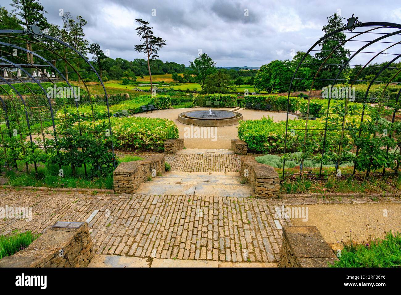 Some of the many different varieties of English apple trees growing in