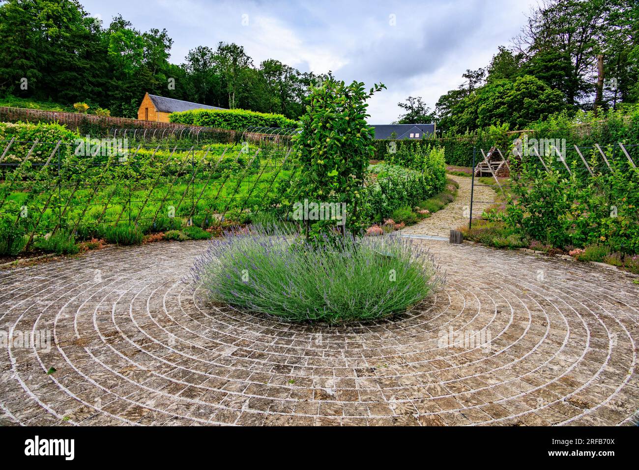 Some of the many different varieties of English apple trees growing in