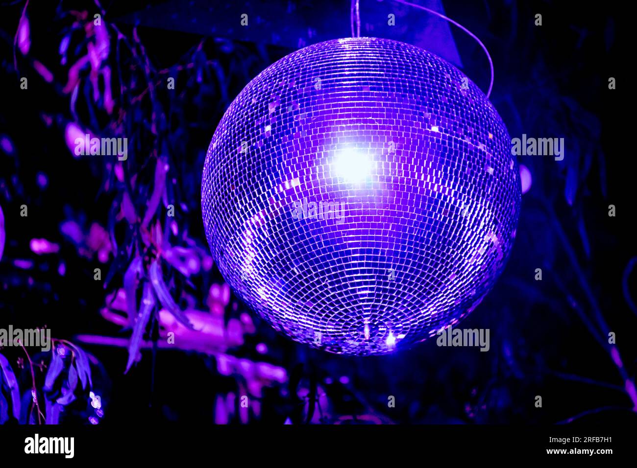 LIT Light Festival Colourful Lights Lines of Light Shiny Disco Balls in