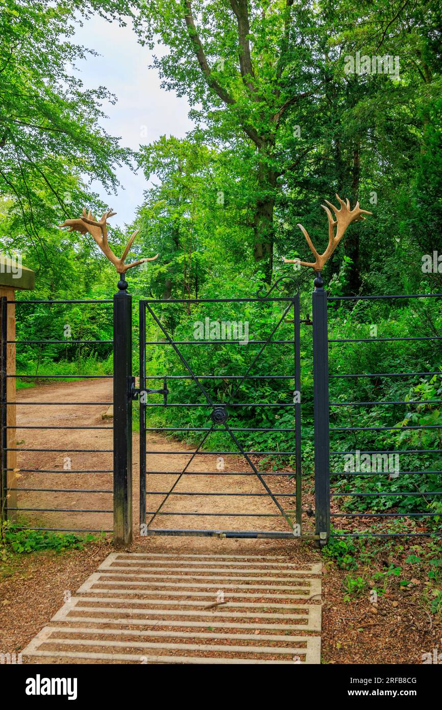 The entrance gate to the deer park is decorated with discarded deer antlers at 'The Newt in Somerset', nr Bruton, England, UK Stock Photo