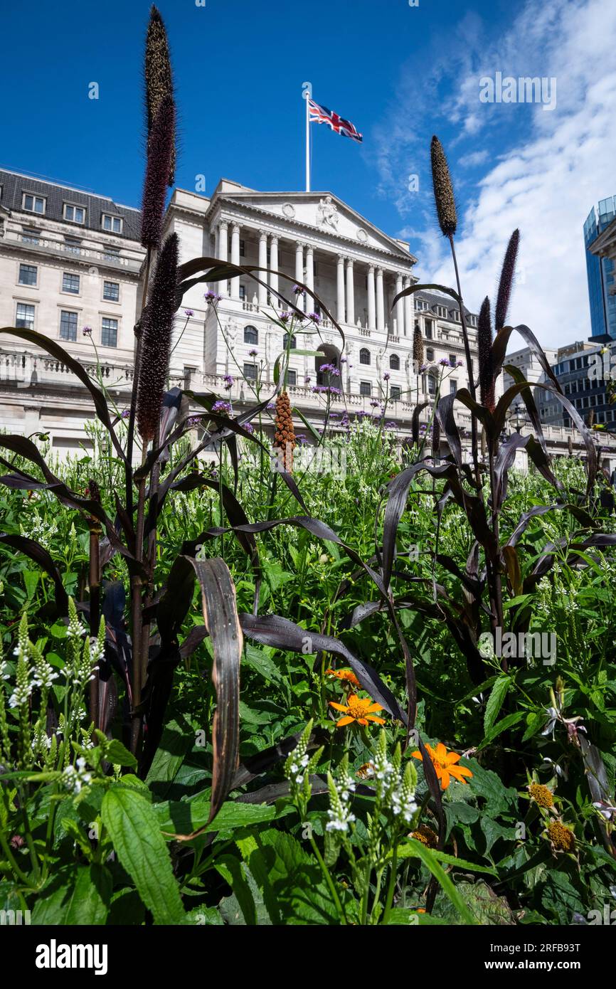 London, UK.  2 August 2023.  The exterior of the Bank of England.  In an attempt to curb inflation the monetary policy committee (MPC) of the Bank of England is expected to announce an increase in the base rate from 5.00% to 5.25%, though some speculate a rise to 5.5%.  It would be the 14th consecutive increase, as the MPC tries to bring inflation down towards its 2 per cent target.  A rise in the interest rate will make borrowing more expensive and deter spending.  Credit: Stephen Chung / Alamy Live News Stock Photo