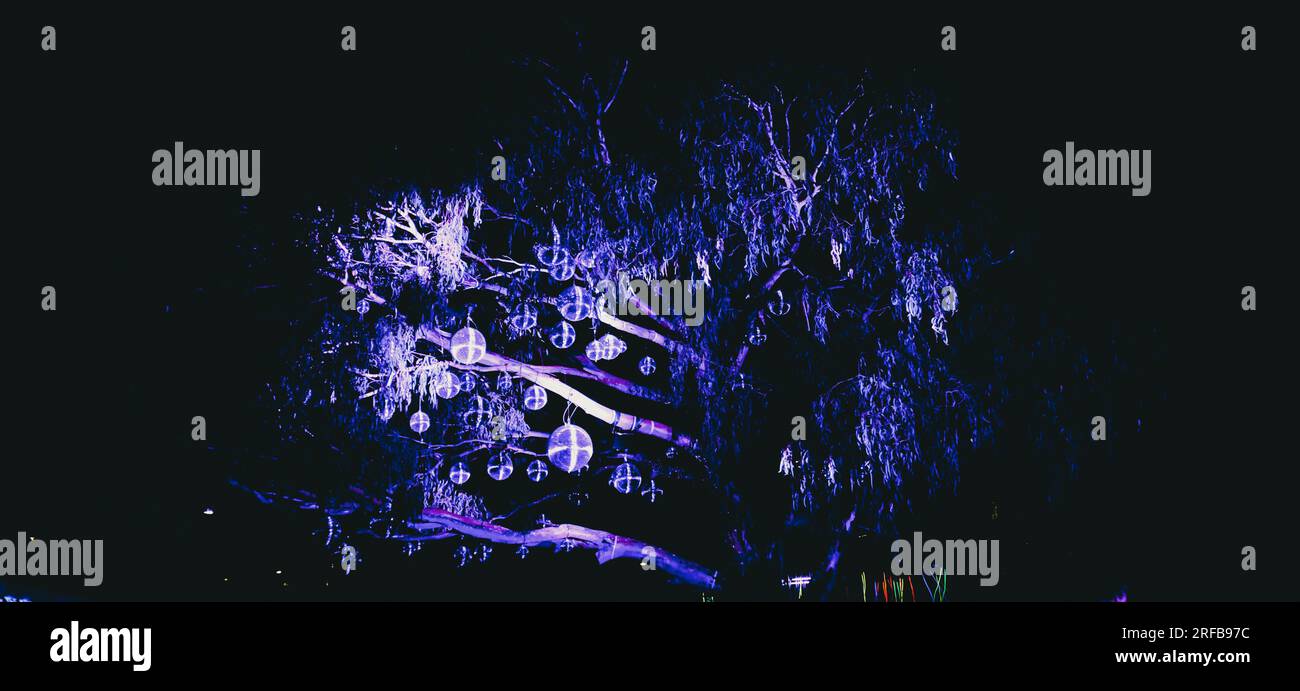 LIT Light Festival Colourful Lights Lines of Light Shiny Disco Balls in