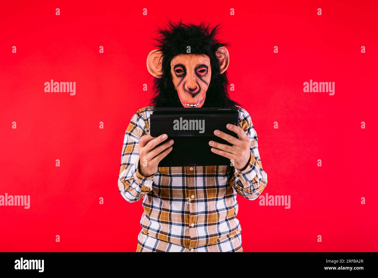 Man with chimpanzee monkey mask and checkered shirt, using a tablet, on