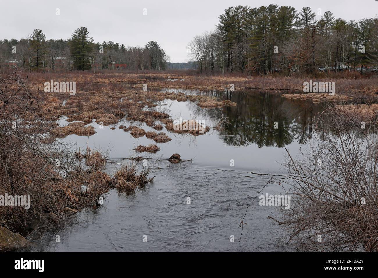 The city of Nashua NH is the sole share holder of various wetlands and