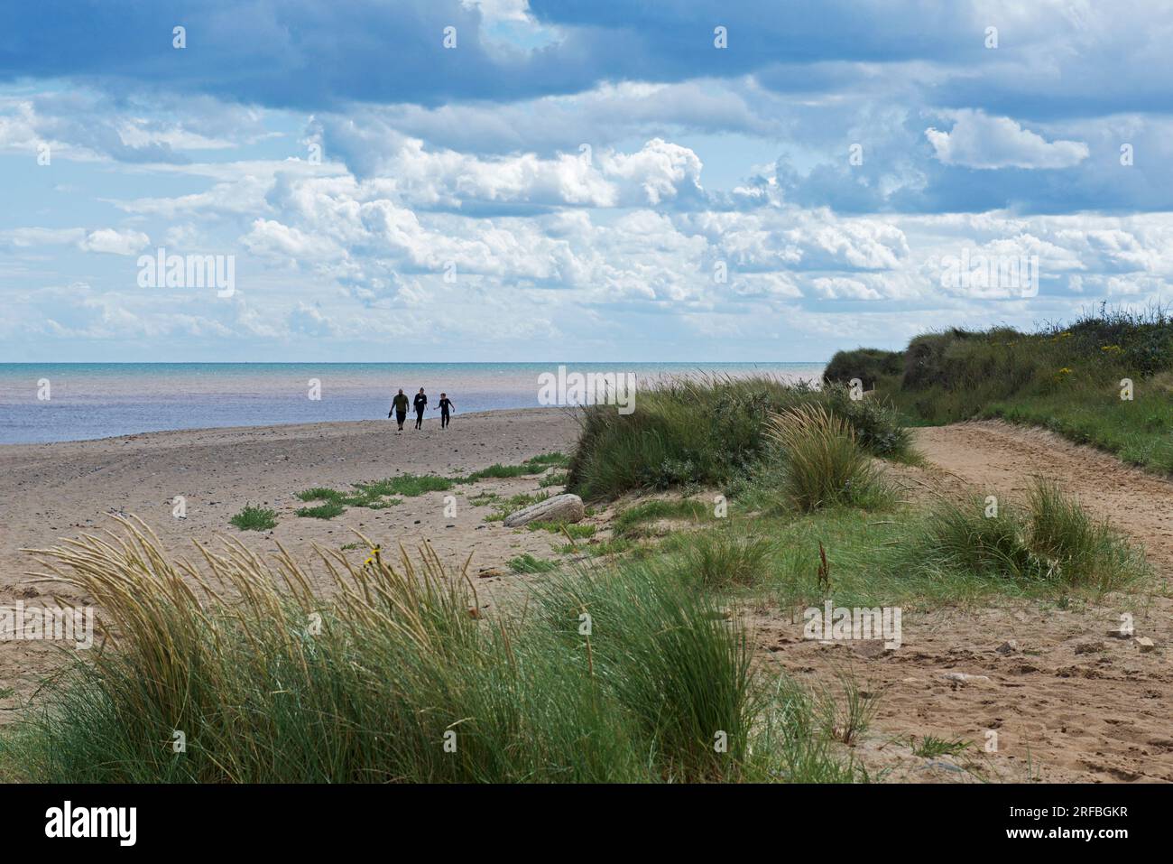 Spurn Point, Holderness, East Yorkshire, England UK Stock Photo Alamy