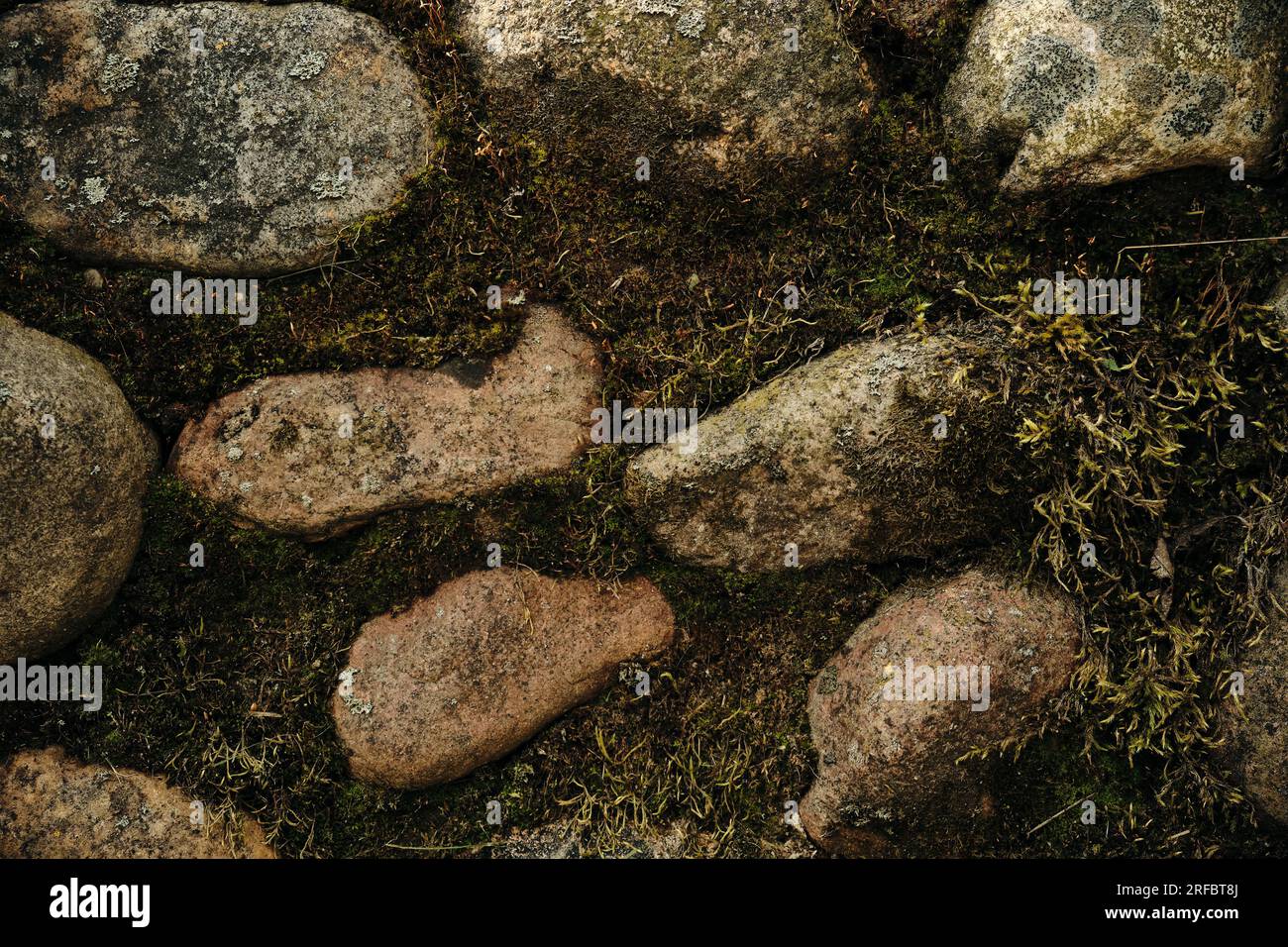 Massive wall background with green plants Mossy rustic stone texture ...
