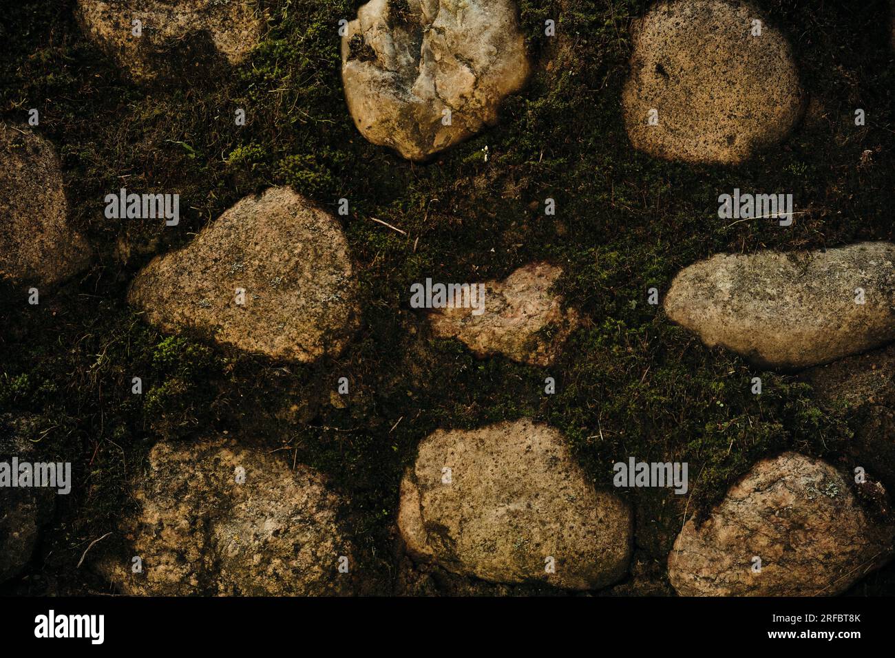Massive wall background with green plants Mossy rustic stone texture ...