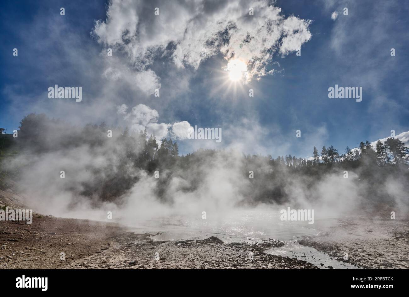 Mud Caldron, Mud Volcano Area, Yellowstone National Park, Wyoming, United States of America Stock Photo