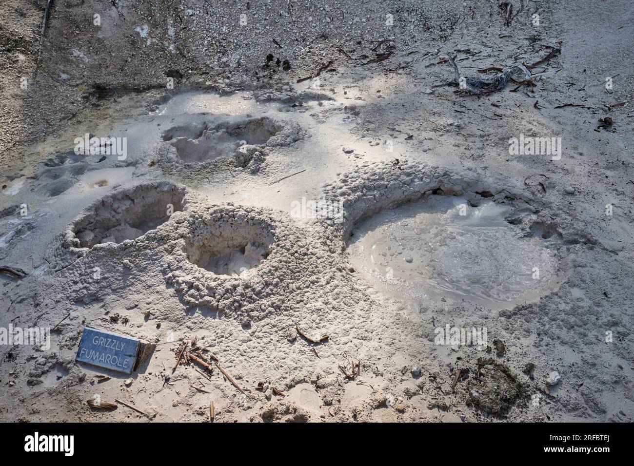 Grizzly Fumarole, Mud Volcano Area, Yellowstone National Park, Wyoming, United States of America Stock Photo