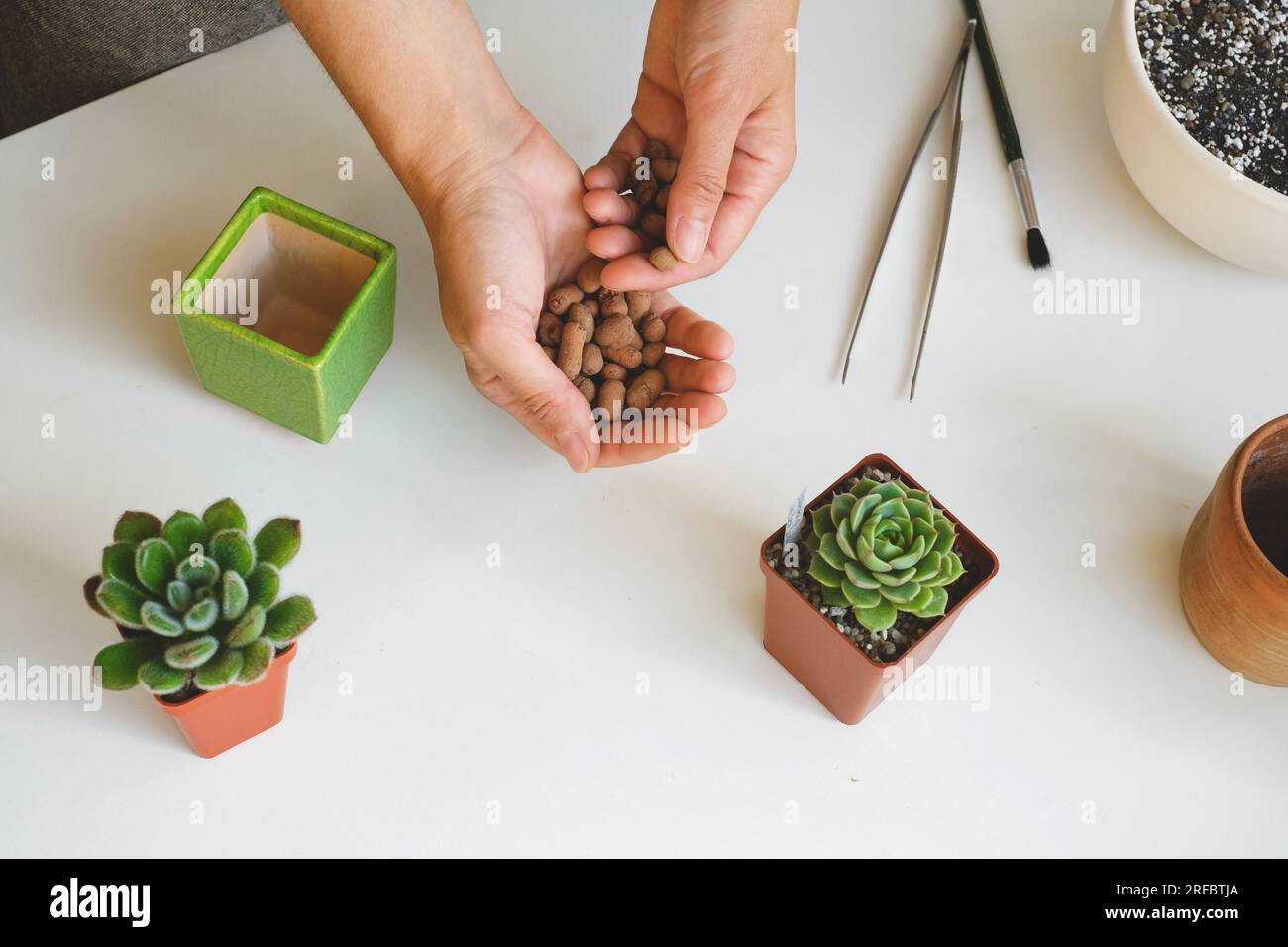 Putting drainage plants in hi-res stock photography and images - Alamy