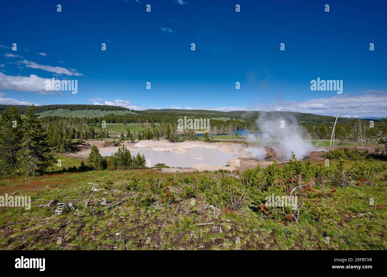 Cooking Hillside, Mud Volcano Area, Yellowstone National Park, Wyoming, United States of America Stock Photo