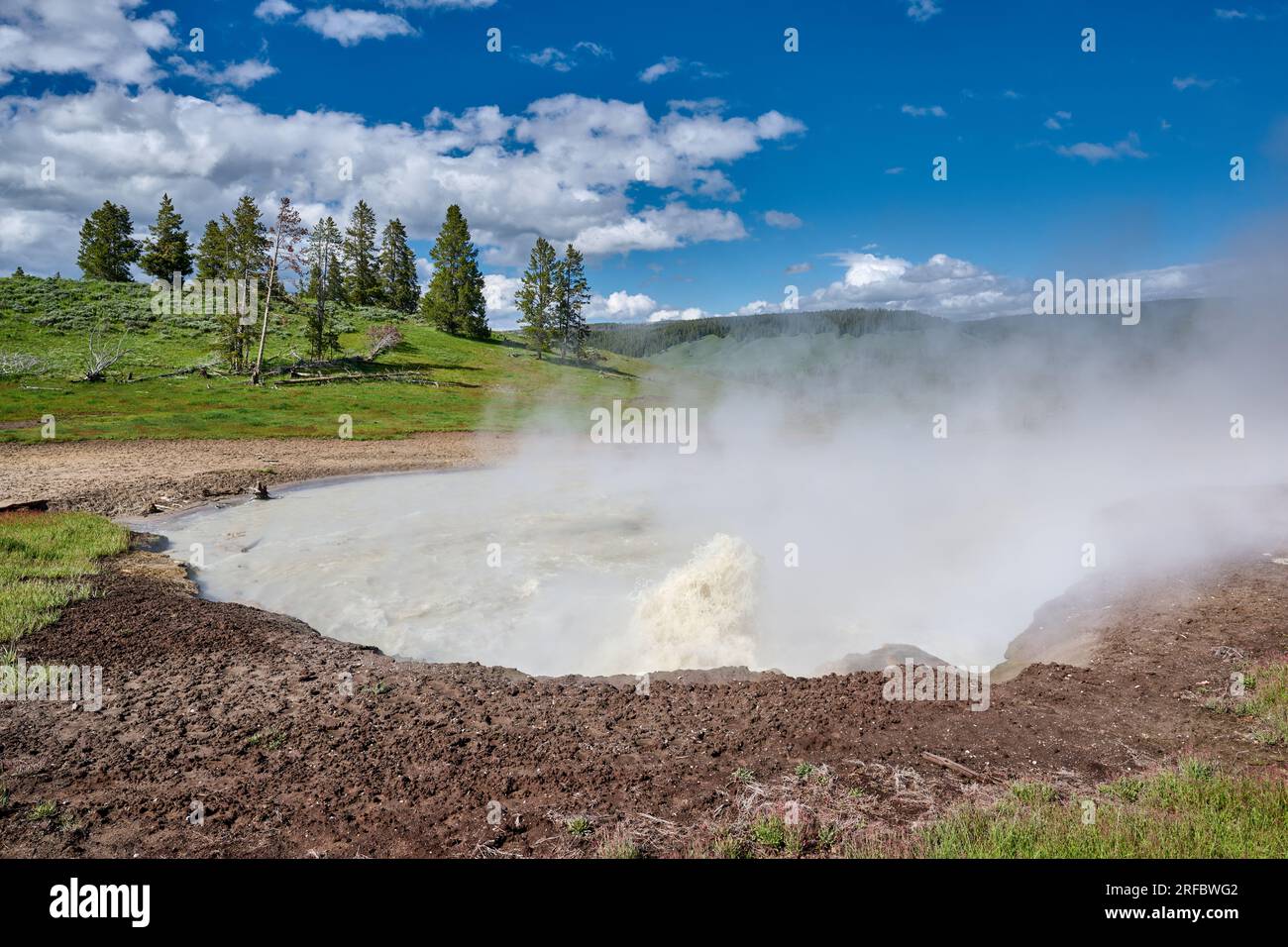 Churning Caldron, Mud Volcano Area, Yellowstone National Park, Wyoming, United States of America Stock Photo