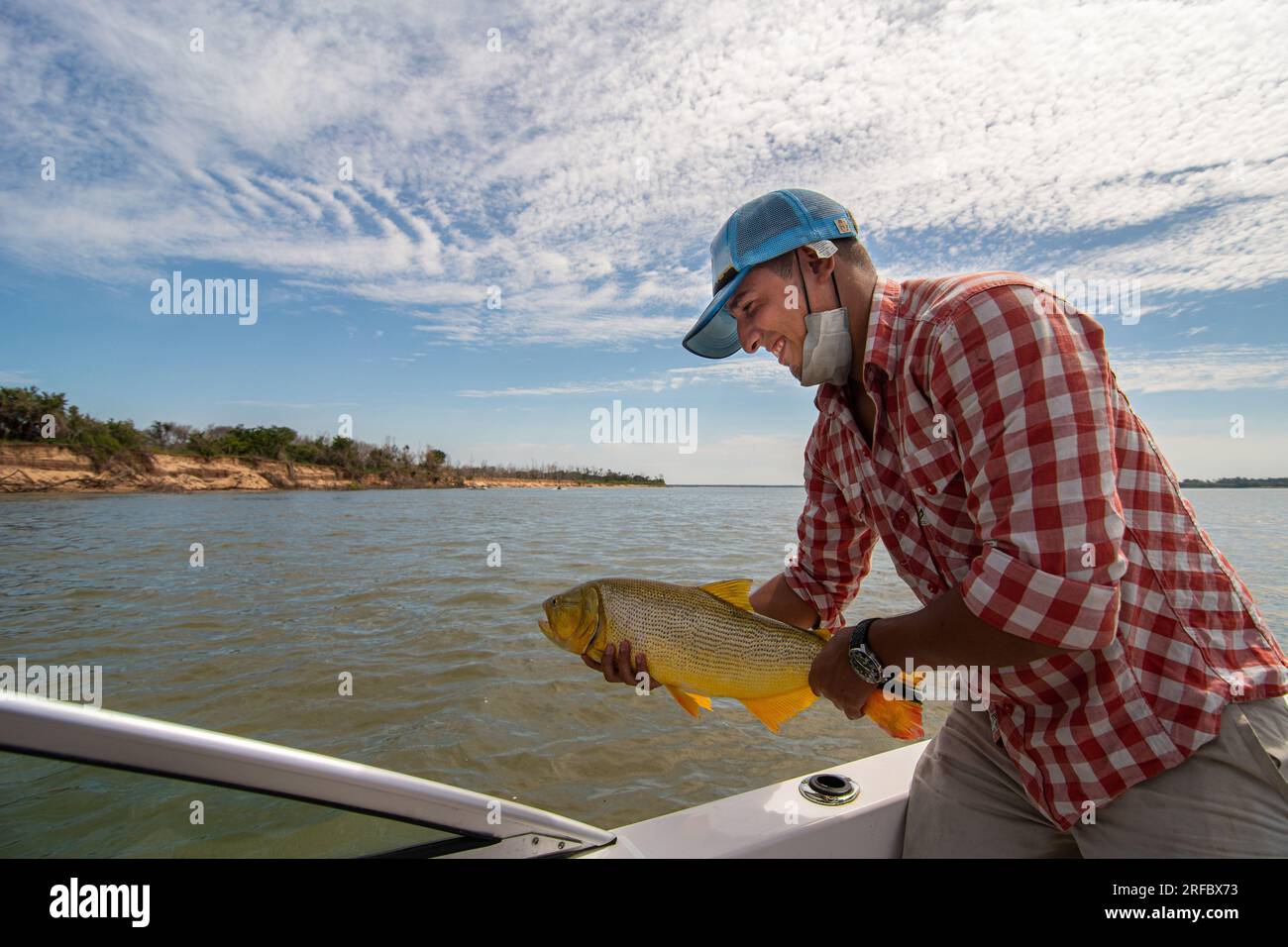 Fisherman holding a golden dorado (Salminus Brasiliensis) during a catch and return demo on a fishing day. Stock Photo