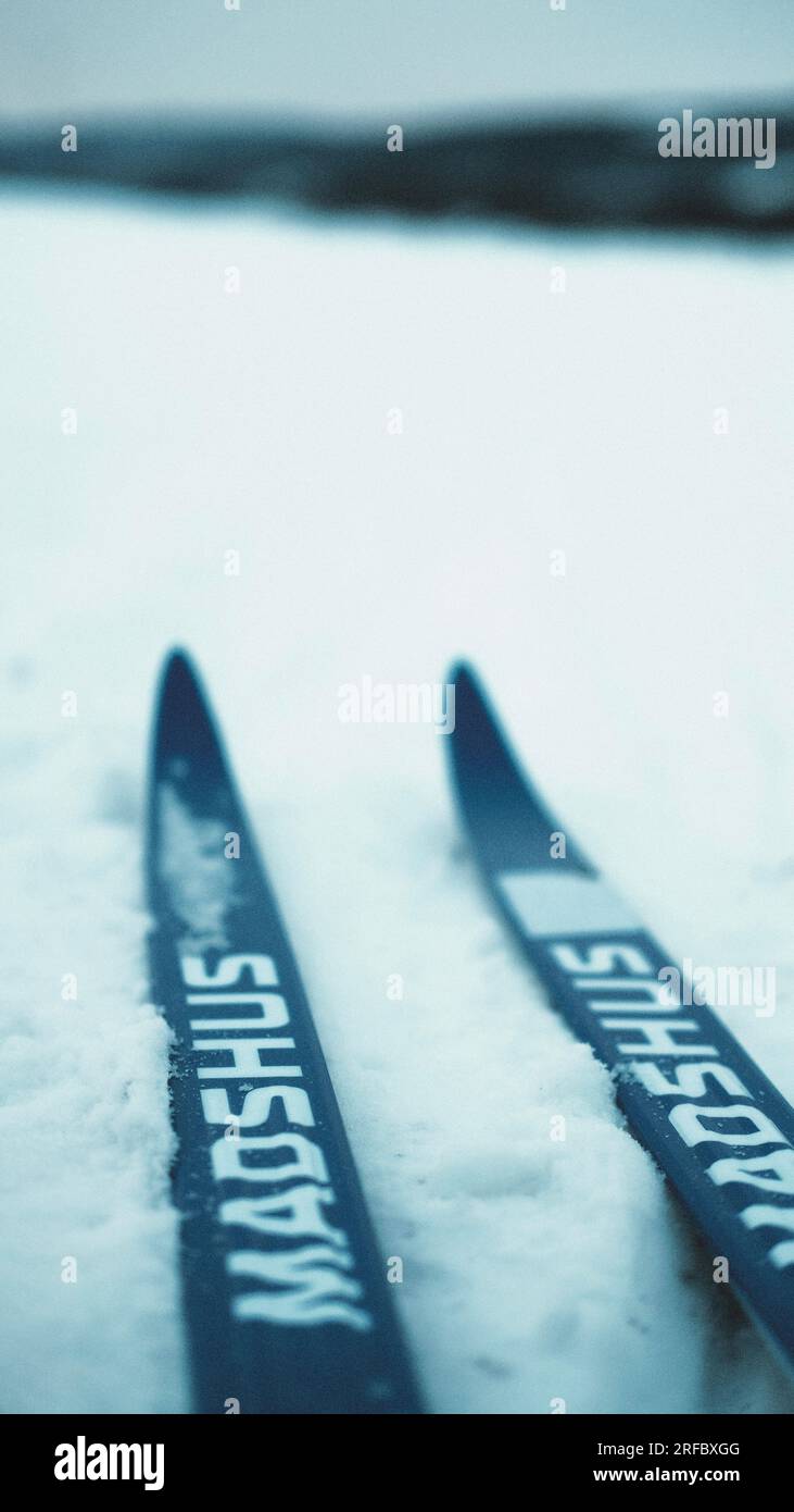 A close up photograph of a pair of cross country skis laying in the snow. Stock Photo