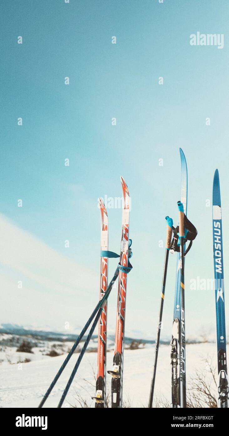 A photograph of two pair of cross country skis standing in the snow. Stock Photo