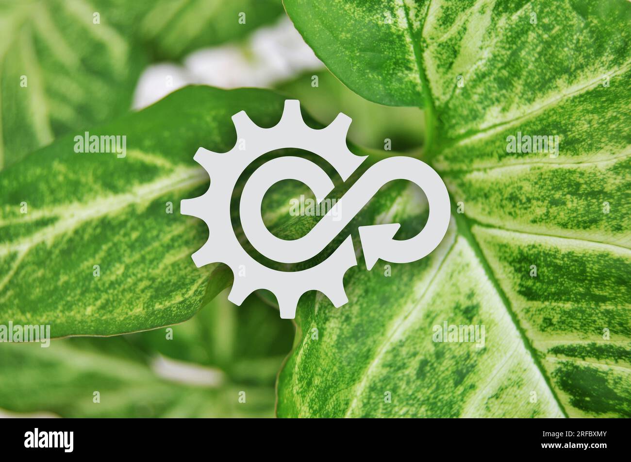 circular economy icons on white background Stock Photo