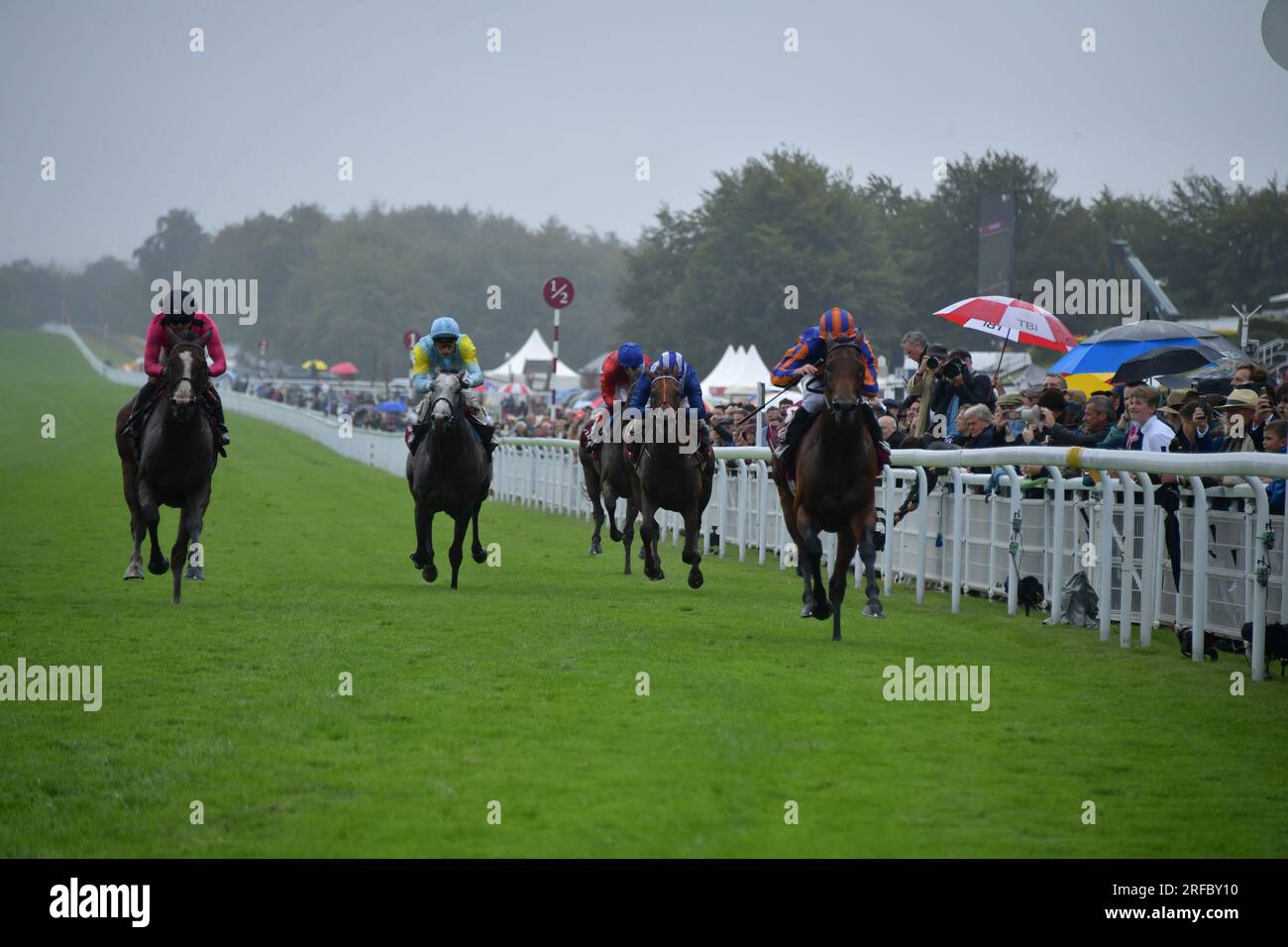 Goodwood, UK. 2nd August 2023. Paddington (blue and orange striped cap), ridden by Ryan Moore, wins the 15.35 Qatar Sussex Stakes ahead of Facteur Cheval (far left), ridden by Maxime Guyon, at Goodwood Racecourse, UK. Credit: Paul Blake/Alamy Live News. Stock Photo