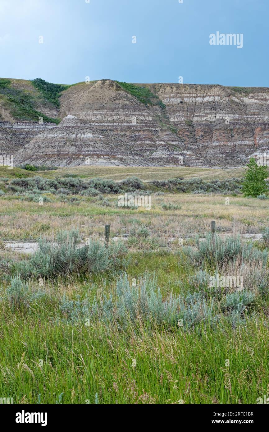 The Badlands are a popular sightseeing destination in Drumheller Alberta considting of sandstone formations that have been formed through erosion caus Stock Photo