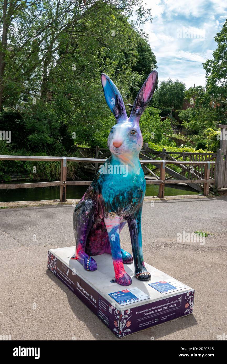 Hares of Hampshire Art trail Winchester England 2022 Be Your Beautiful Self Hare by Jenny Muncaster At The Weirs Riverside Walk Sponsor Winchester Uni Stock Photo