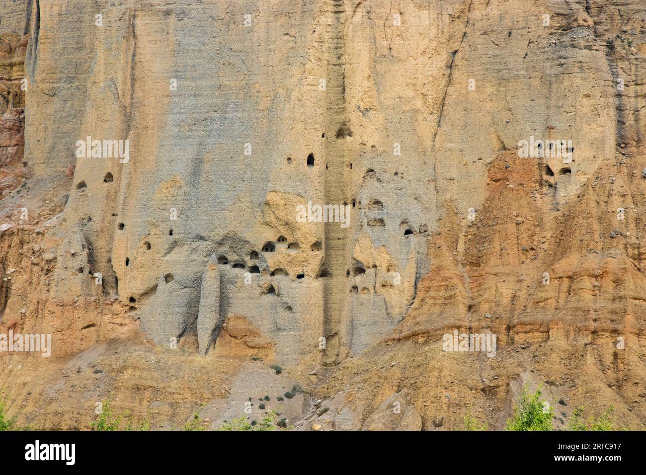 Vegetation and Flowers alongside Desert of Upper Mustang with Man Made