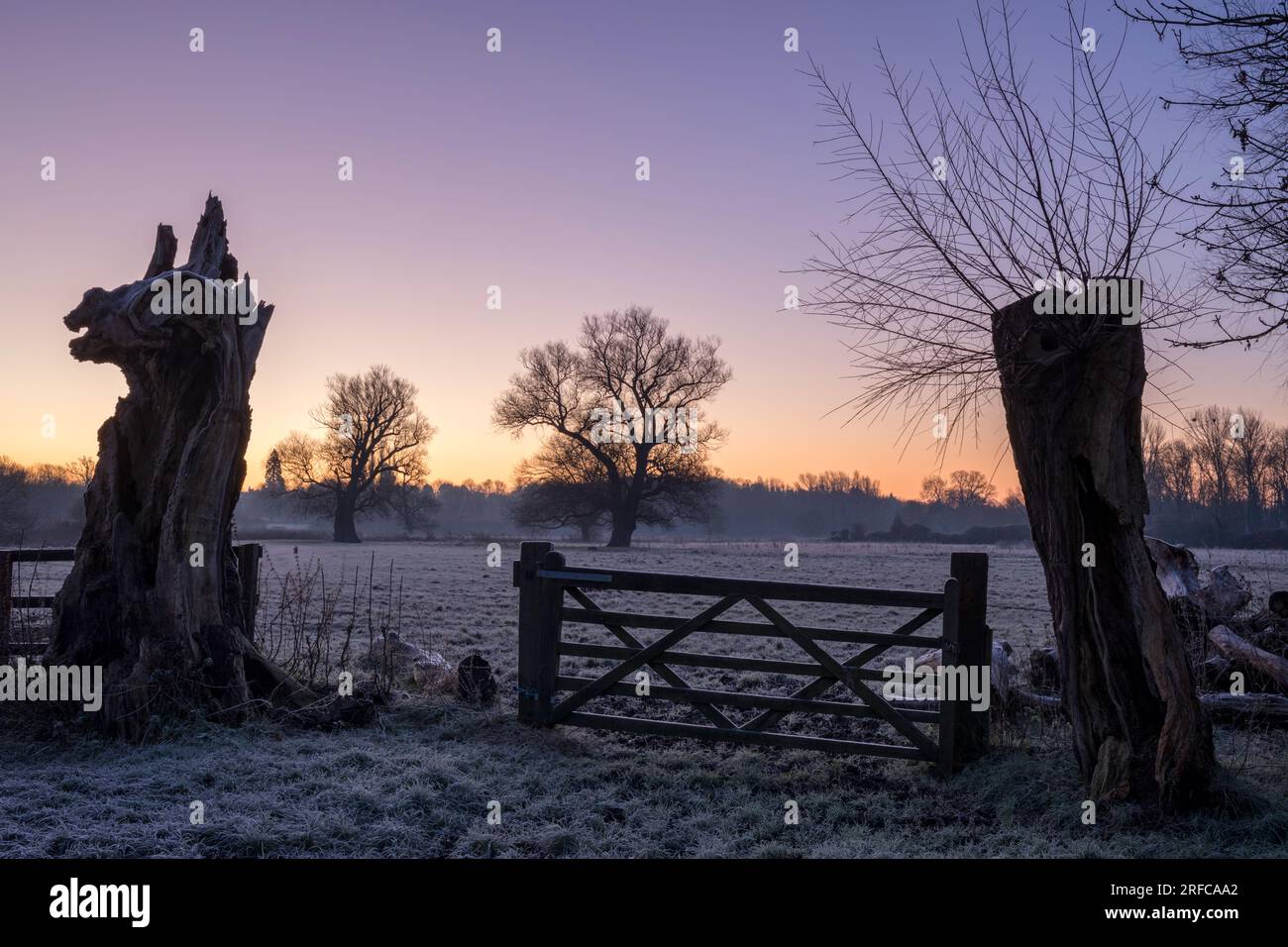 Dawn sunrise at Grantchester Meadows, Cambridge, UK Stock Photo